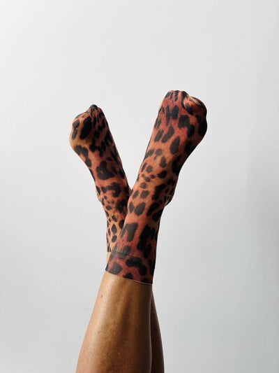 Teddie 35-40