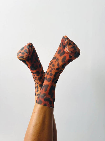 Teddie 35-40