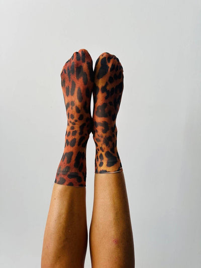Teddie 35-40